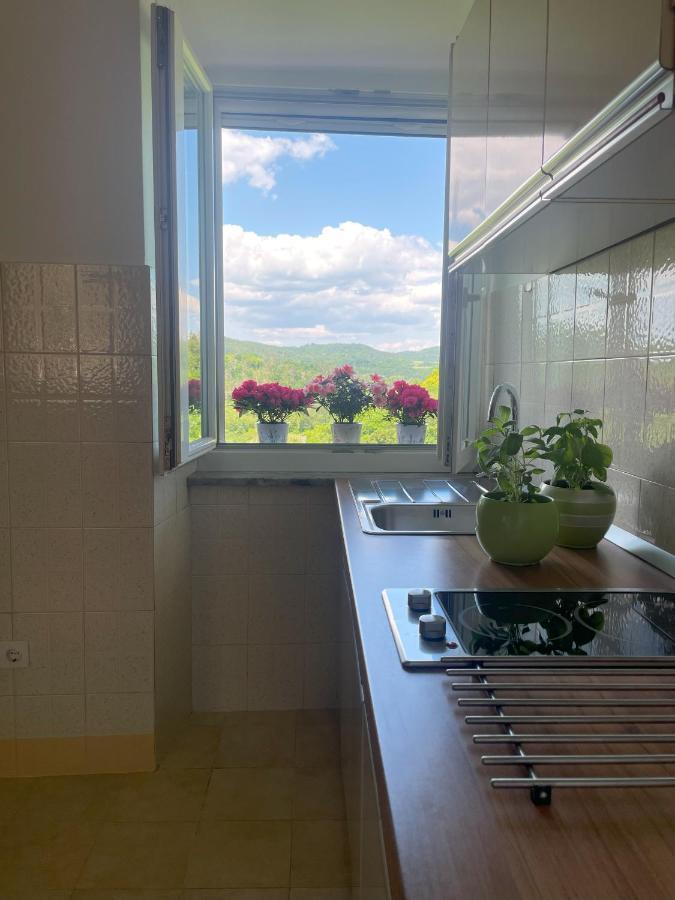 Apartment Kastel Pazin Buitenkant foto